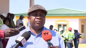 areias pesadas de moma mocambique