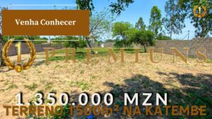 declaracao de trespasse de terreno em mocambique