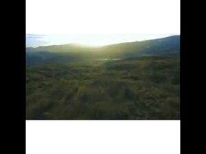 flora e fauna de mocambique