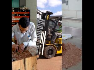 geocontrole mocambique