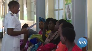 inseminacao artificial em mocambique