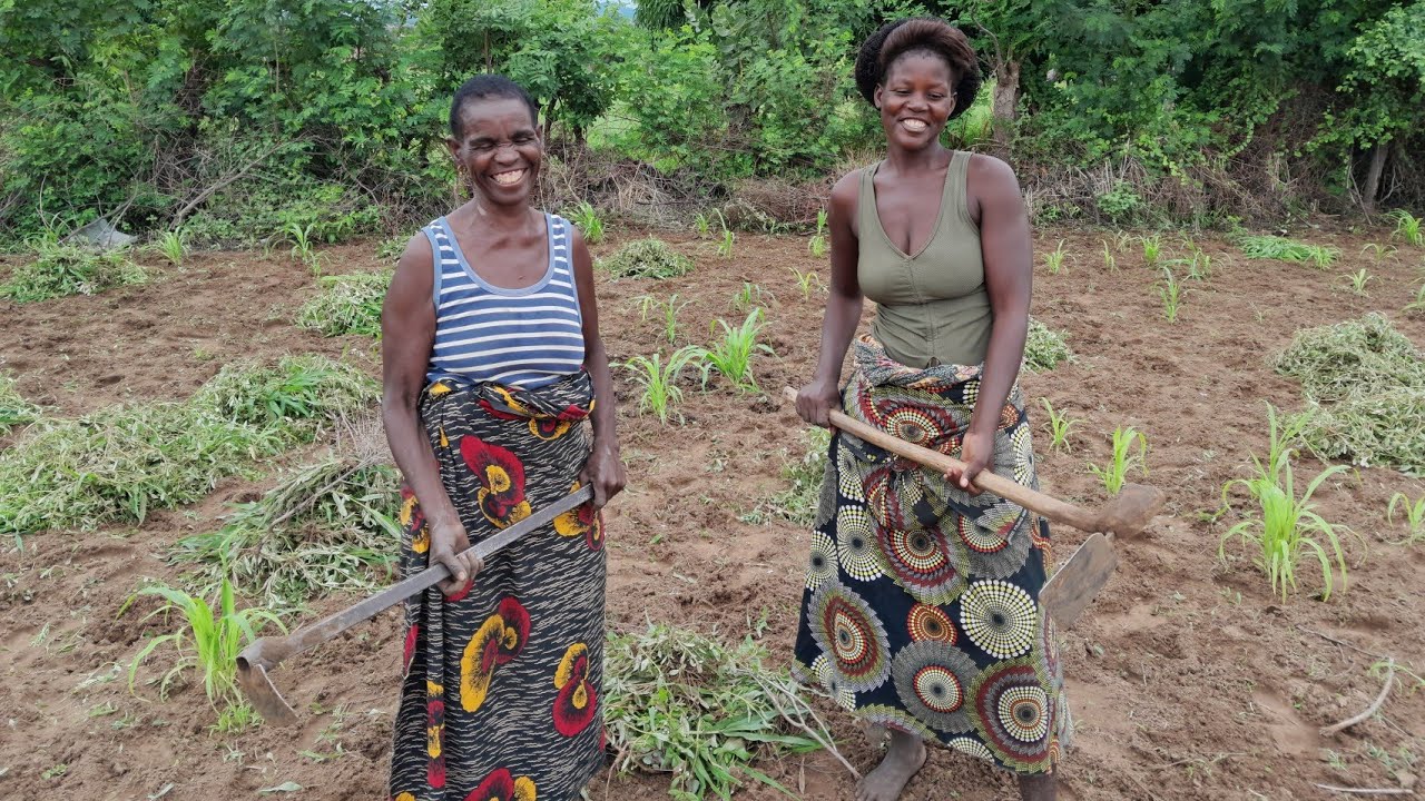 agricultura em mocambique