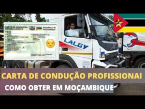 carta de conducao profissional mocambique