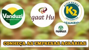 empresas agricolas em mocambique