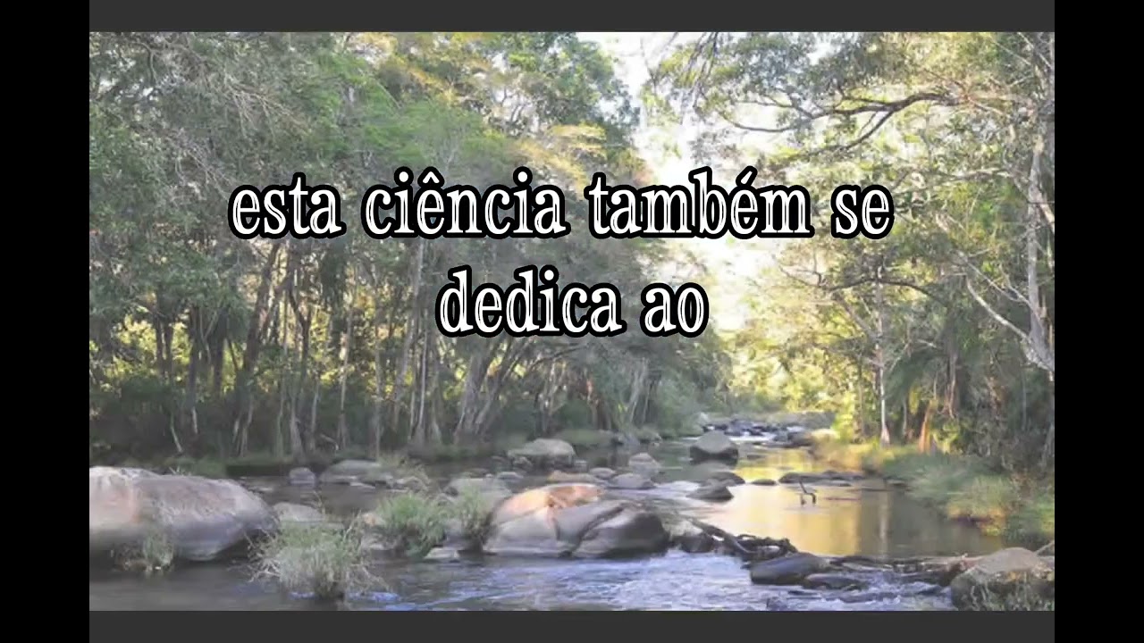 Geologia de Moçambique: Tudo o Que Você Precisa Saber 1 geologia de mocambique