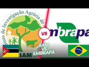 instituto de investigacao agraria de mocambique