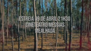 mocambique terra queimada