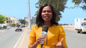 SISE Moçambique: Guia Completo 1 sise mocambique