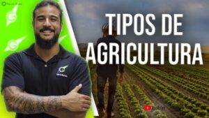 tipos de agricultura em mocambique