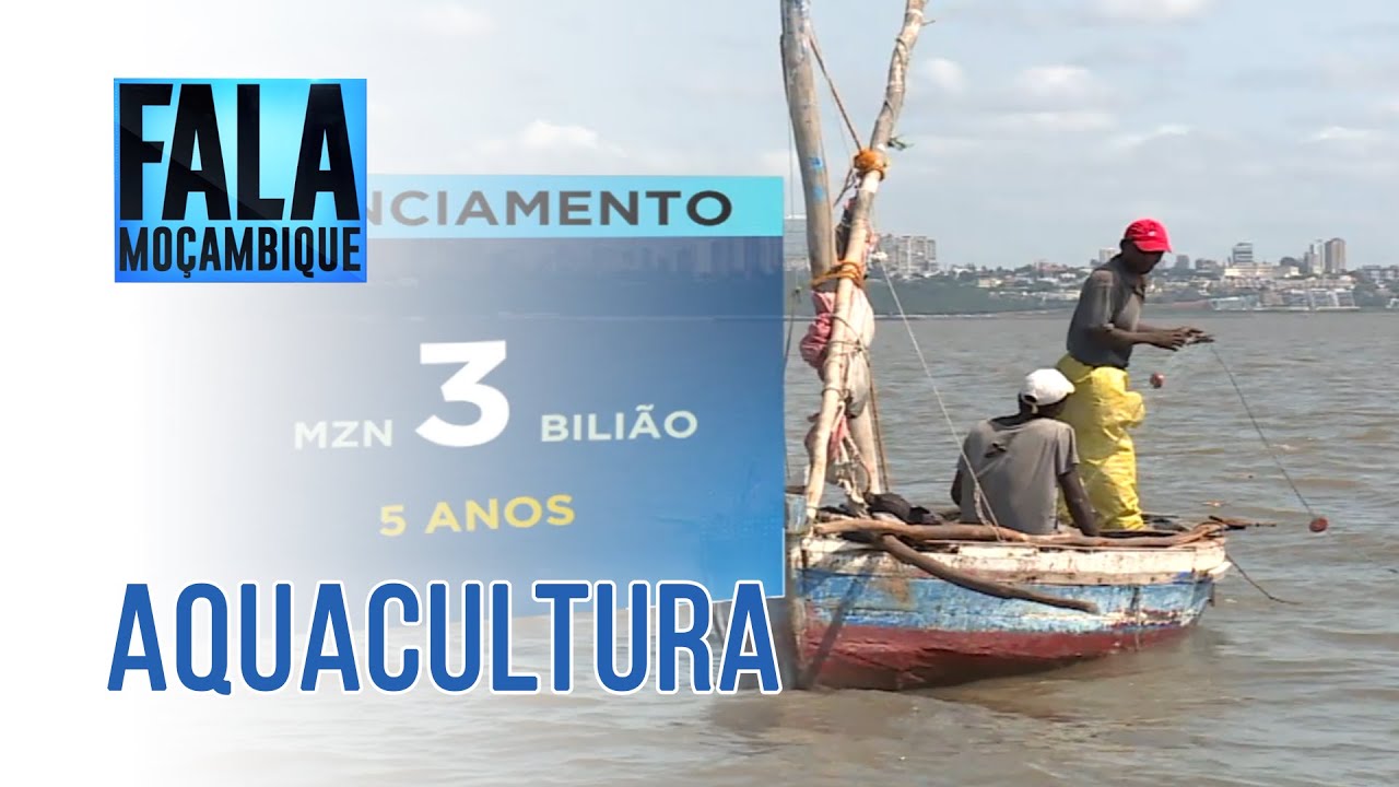 tipos de aquacultura em mocambique